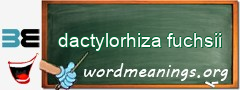 WordMeaning blackboard for dactylorhiza fuchsii